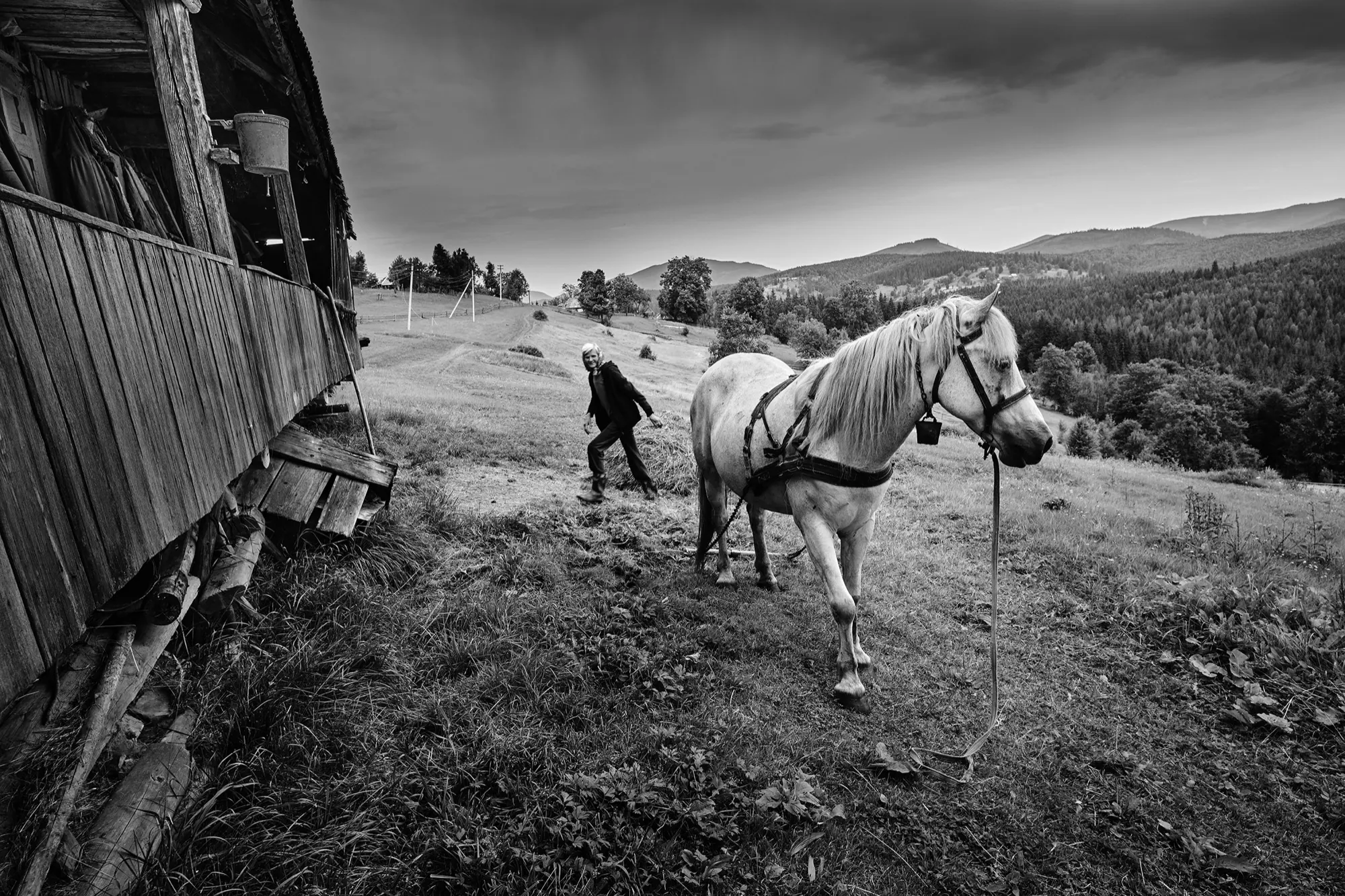 Високогірні жителі Українських Карпат — фото 03, фотограф Михайло Дорогович