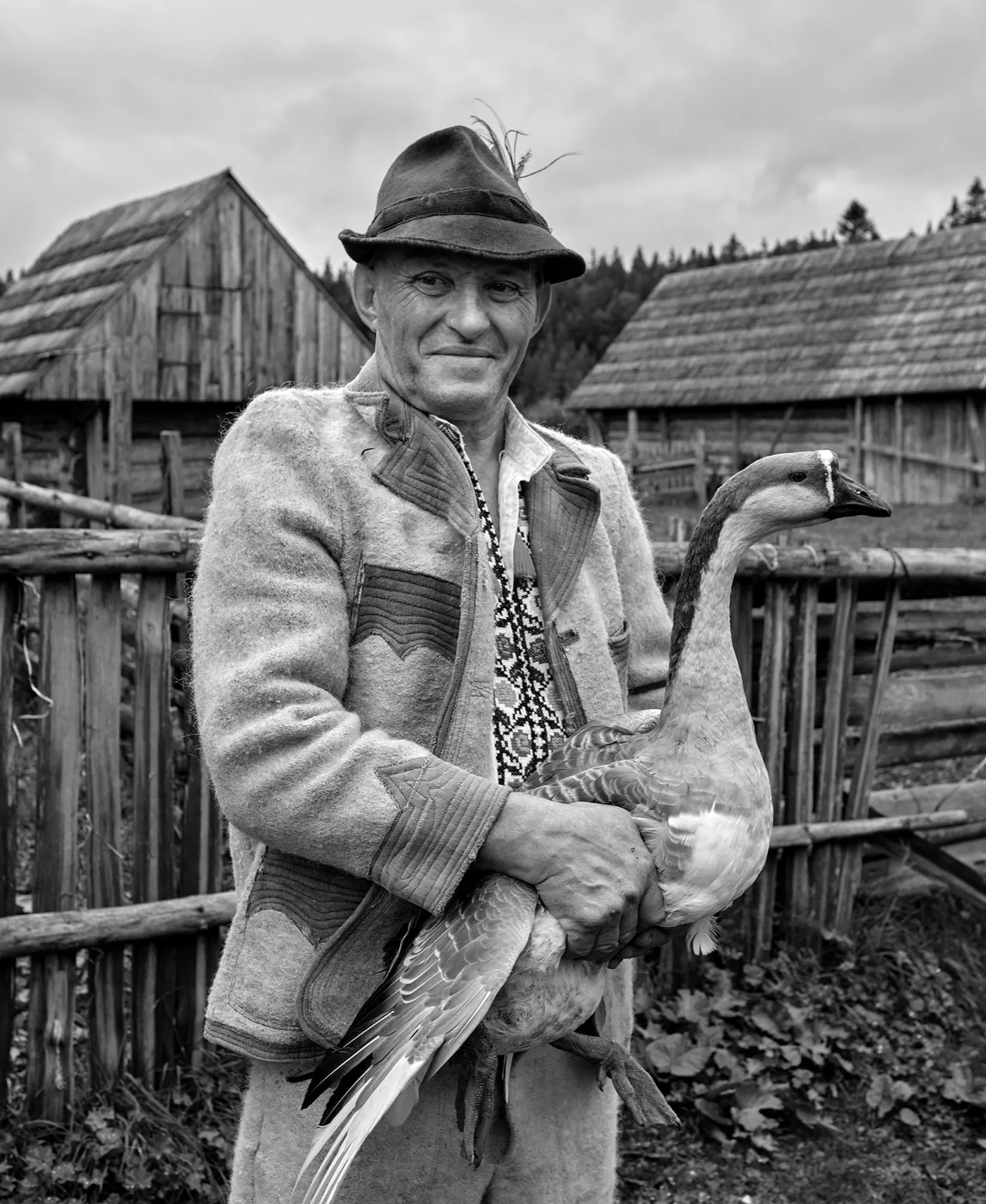 Високогірні жителі Українських Карпат — фото 09, фотограф Михайло Дорогович