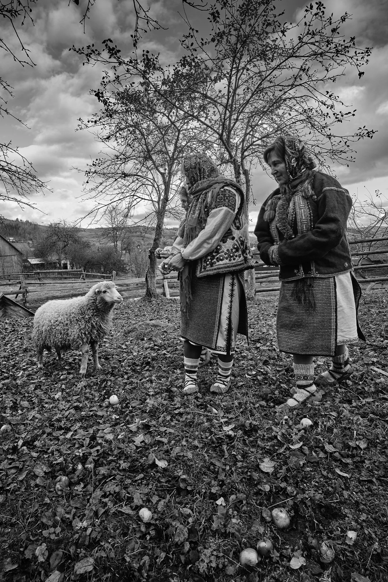 Високогірні жителі Українських Карпат — фото 11, фотограф Михайло Дорогович