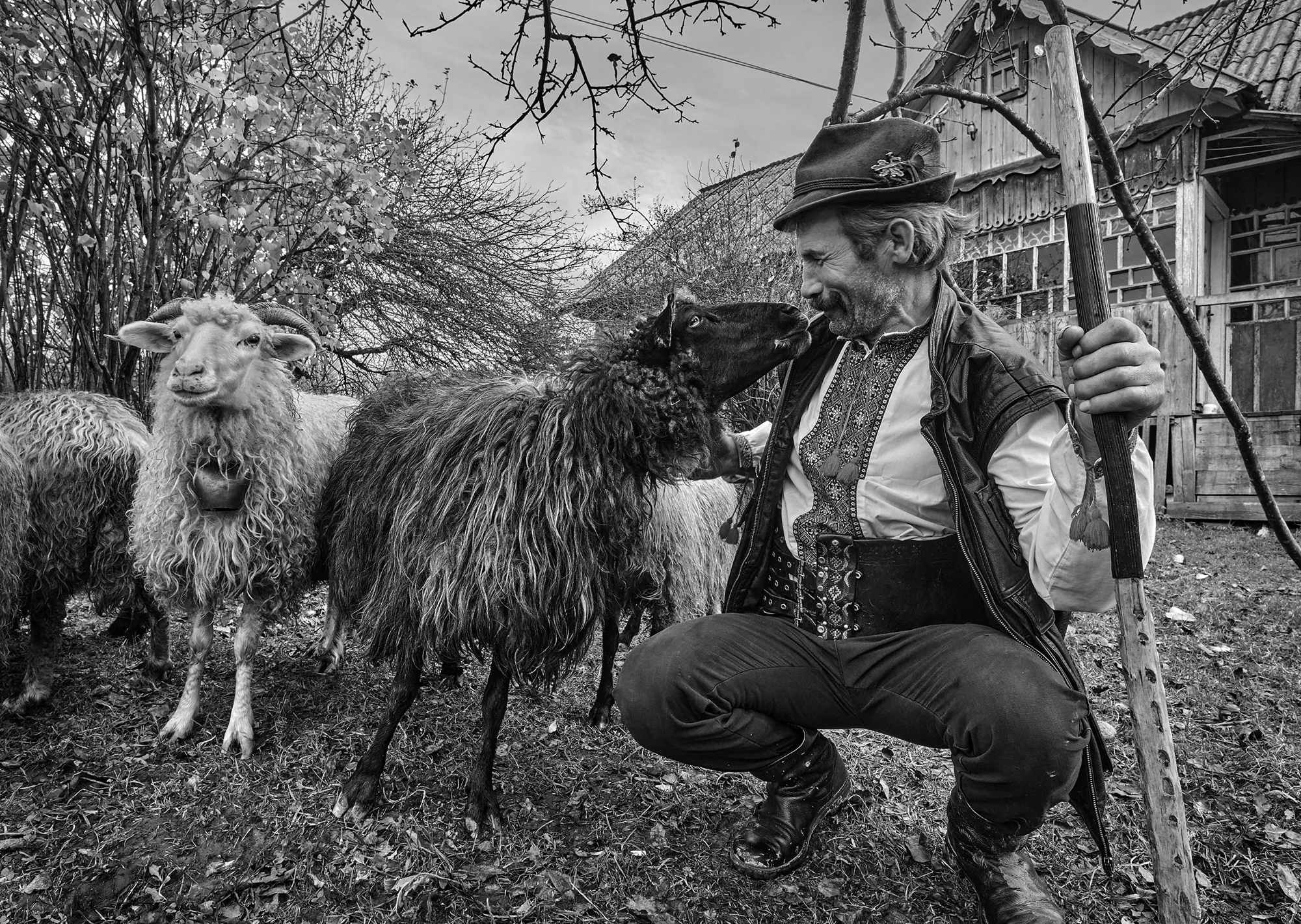 Високогірні жителі Українських Карпат — фото 14, фотограф Михайло Дорогович