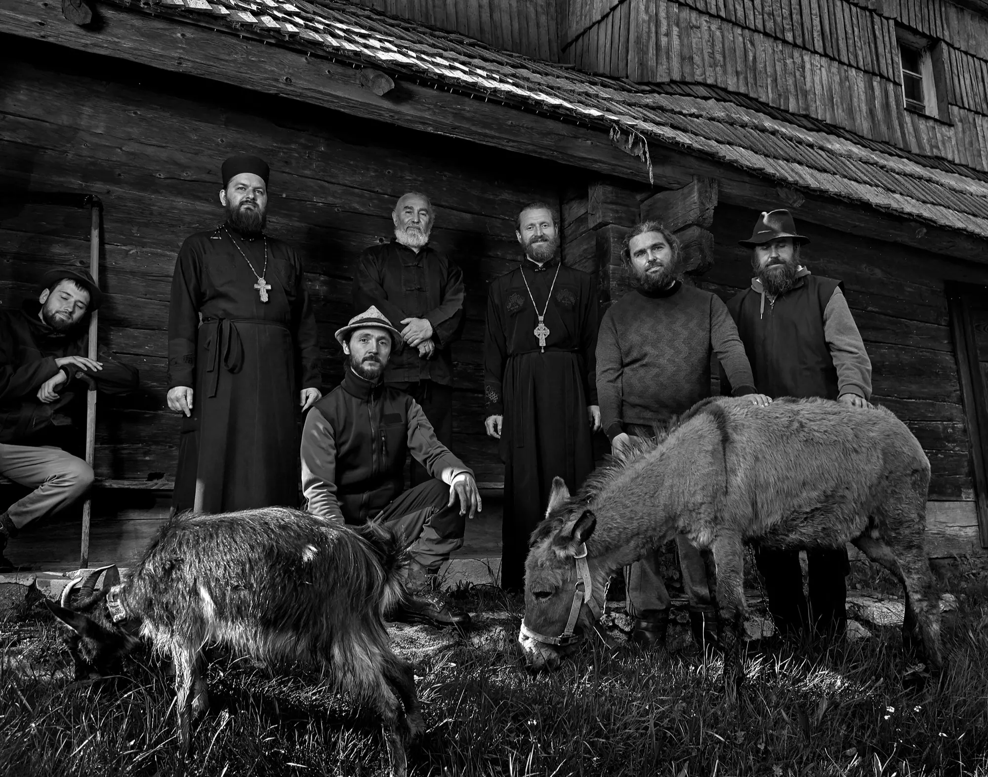 Високогірні жителі Українських Карпат — фото 20, фотограф Михайло Дорогович